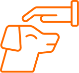 We accept pets, according to availability and tipology (with additional cost). We accept pets, according to availability and tipology (with additional cost).